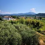 Bellini Bardolino