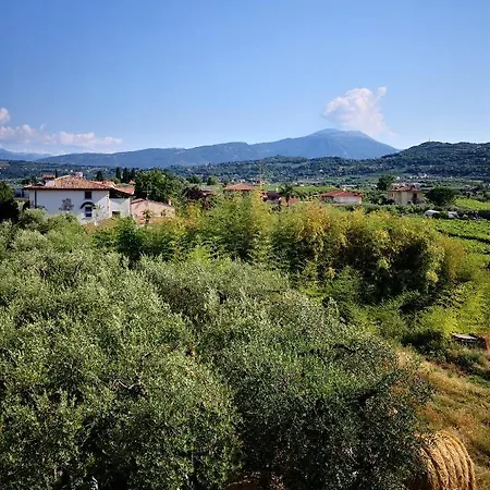 Bellini Bardolino
