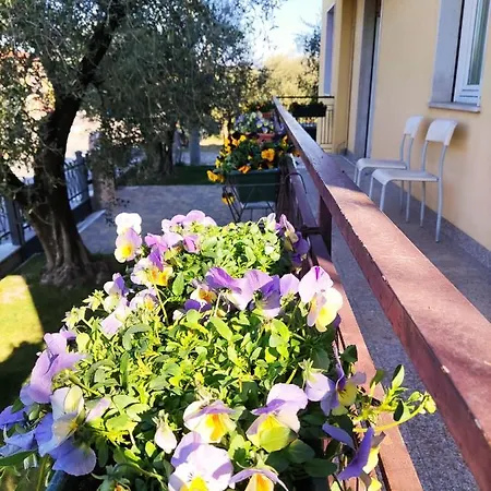 Апартаменты Bellini *