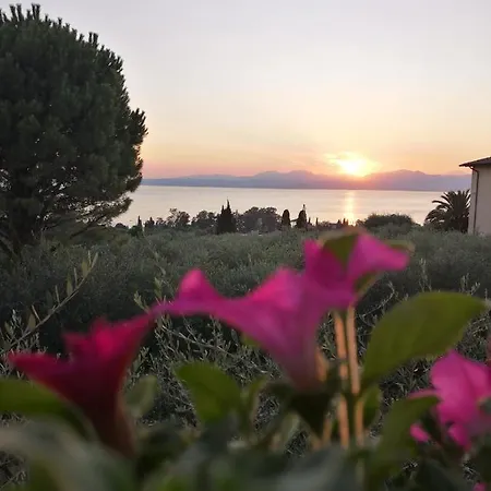 Bellini Apartmán *