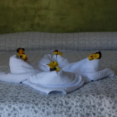 Bellini Lejlighed Bardolino