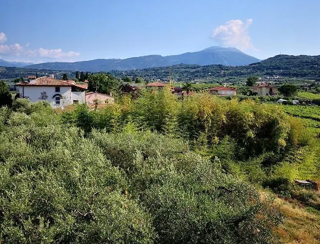 Bellini Bardolino