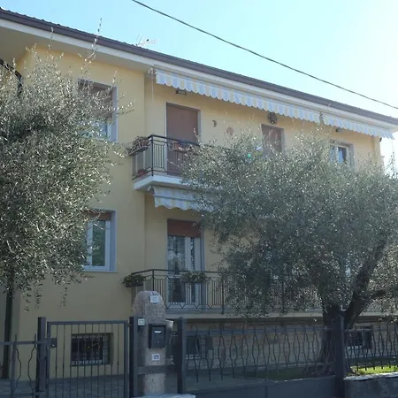 Bellini *