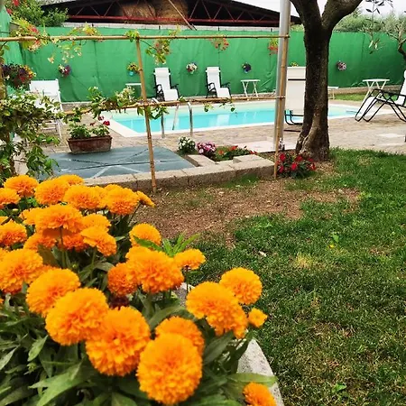 Bellini Apartment Bardolino